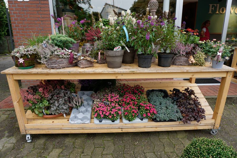 Das Blumenstudio Schönes & Mehr